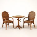 Set da Giardino in Rattan con 2 Sedie e Tavolo Rotondo